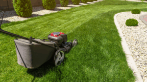 lawn care business for sale