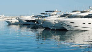 marine business opportunity